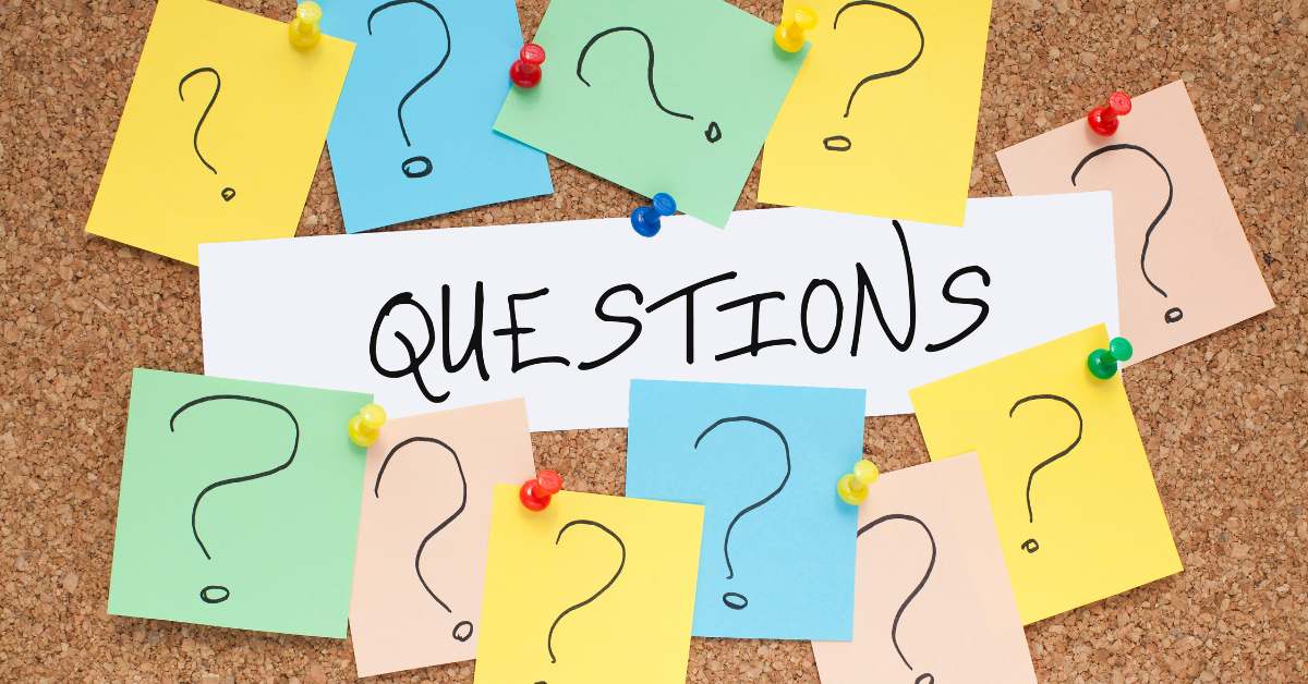 common naplan questions answered for 2024